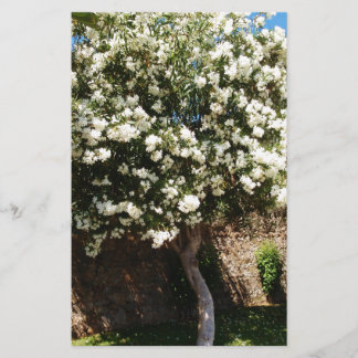 Papeterie Arbre de jasmin en fleur