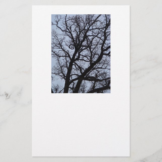 Papeterie Arbre vampire (Devant)