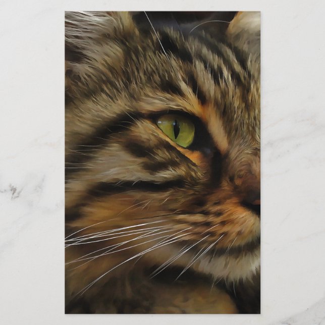 Papeterie Aslan Le Long Haired Tabby Cat (Devant)