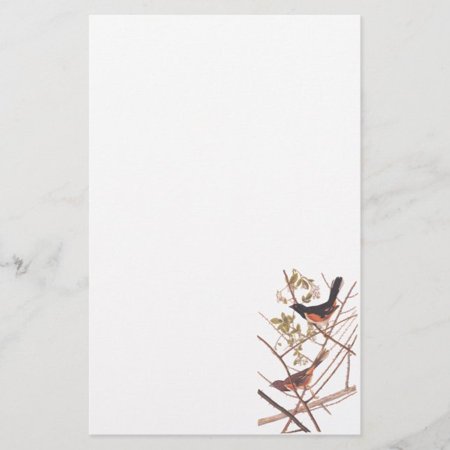 Papeterie Audubon's Towee Bunting (Devant)