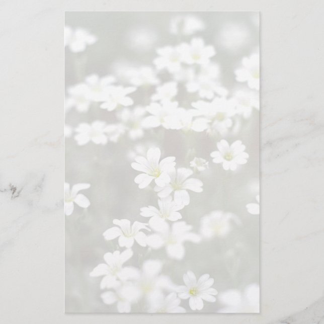 Papeterie aux fleurs blanches (Devant)