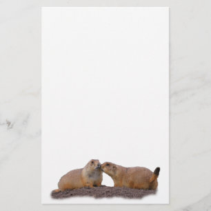 Papeterie baiser de chien de prairie