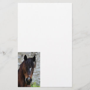 Papeterie Beau cheval Brown