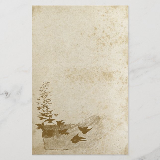 Papeterie Beau papier à papier à papier pour oiseaux anciens (Devant)