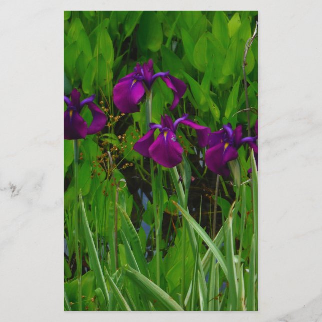 Papeterie Belle Iris Violet (Devant)