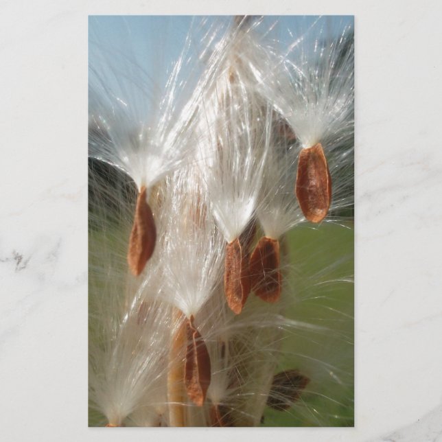 Papeterie Belle Magie Milkweed : Une conception de vol Skywa (Devant)