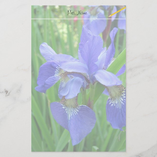 Papeterie belles fleurs d'iris bleu (Devant)
