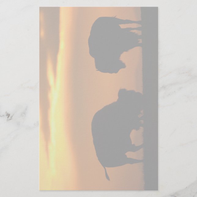 Papeterie bison (Devant)