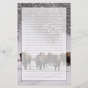 Papeterie Bison en hiver