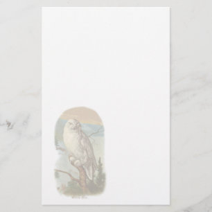 Papeterie blanche vintage de hibou