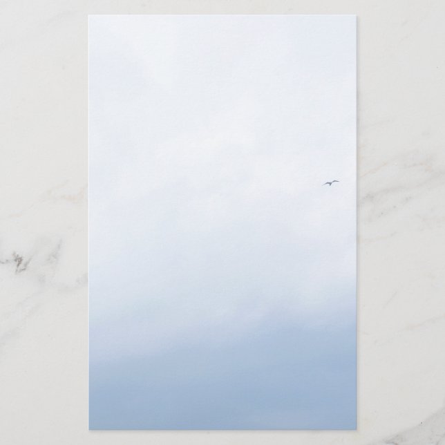 Papeterie Blue Sky Birds (Devant)