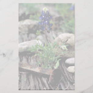 Papeterie Bluebonnet de Texas