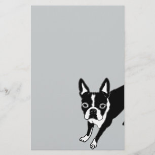 Papeterie Boston Terrier