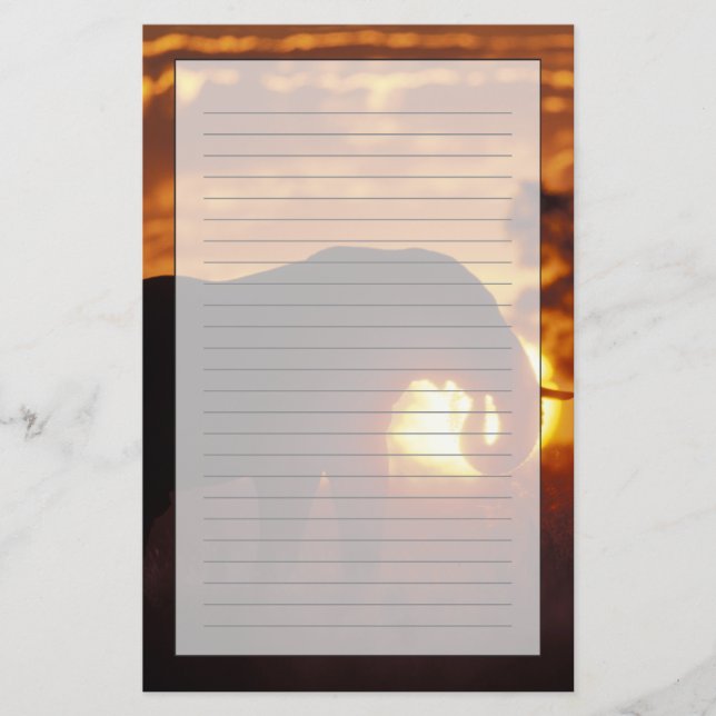 Papeterie Botswana, Parc national de Chobe, Bull Elephant (Devant)