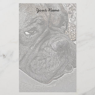 Papeterie Boxe Dog stationnaire