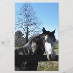 Papeterie Brown &blanc, Cheval Peint, ciel bleu vif
