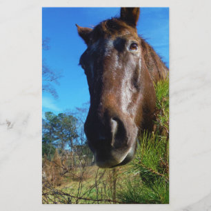 Papeterie Brown et crème Couleur Cheval bleu ciel
