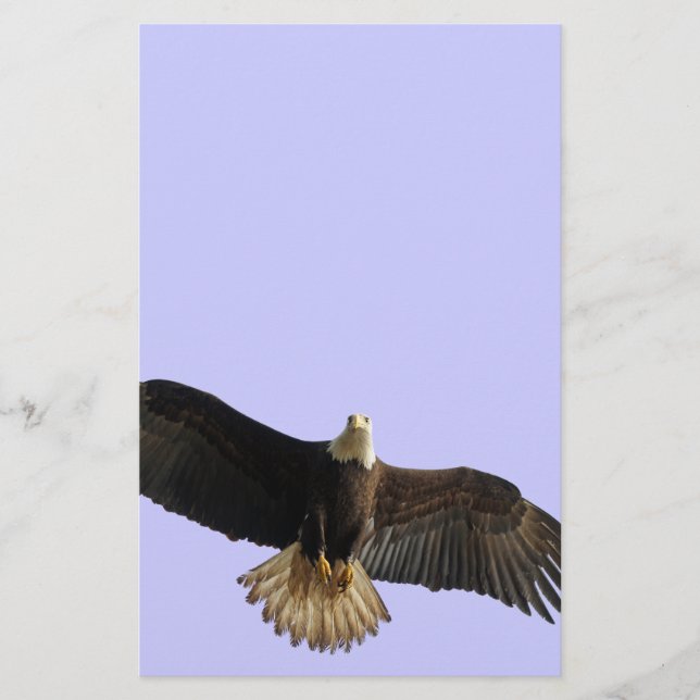 Papeterie Cadeau de la faune de l'aigle à tête volante (Devant)
