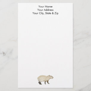Papeterie Capybara