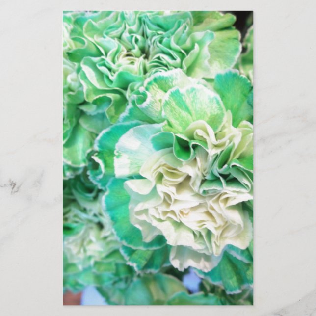 Papeterie Carnation verte (Devant)