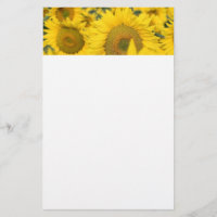 Champ jaune de tournesols photo