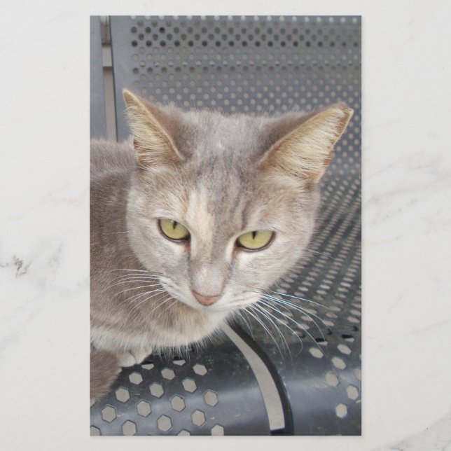 Papeterie Chat (Devant)