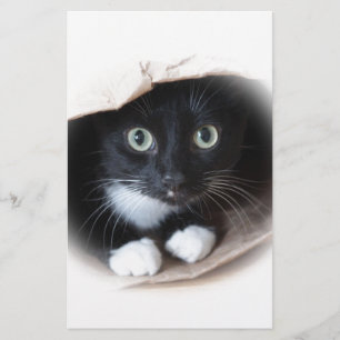 Papeterie Chat dans un sac