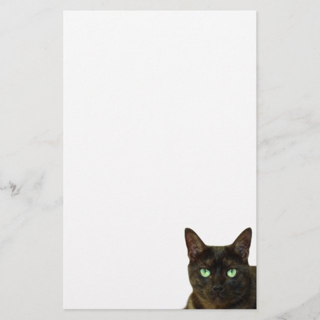 Papeterie Chat noir (Devant)