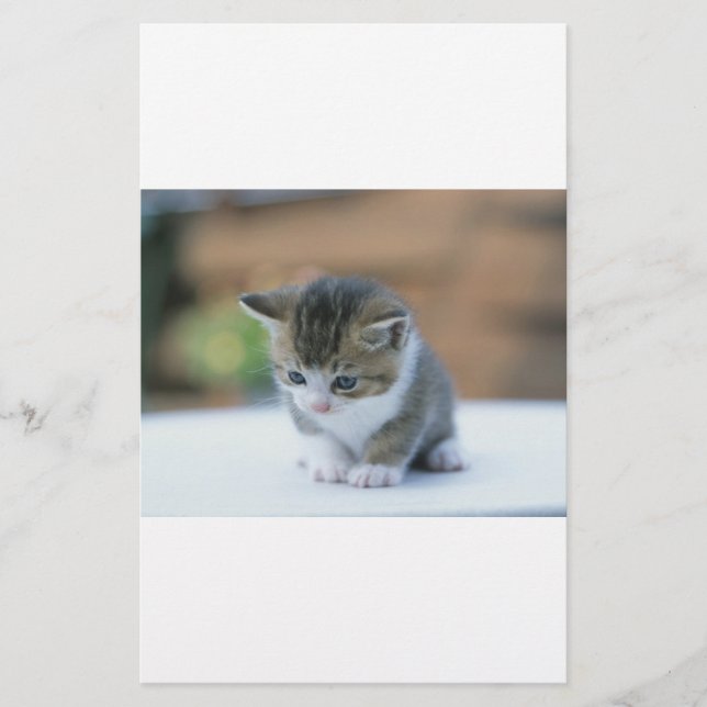Papeterie Chaton mignon (Devant)