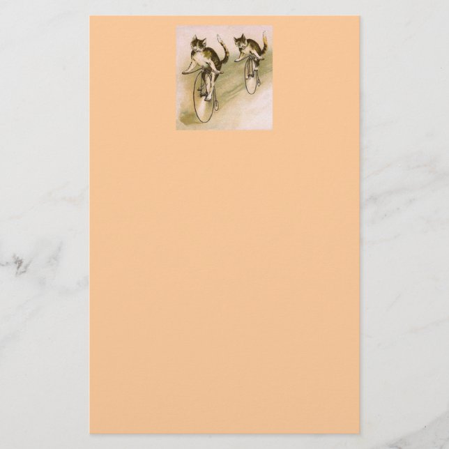 Papeterie Chats vintages à vélo (Devant)