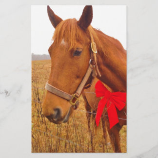Papeterie Cheval Brown Red Bow