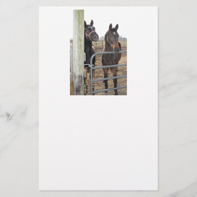 Papeterie Chevaux (Devant)