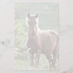 Papeterie Chevaux
