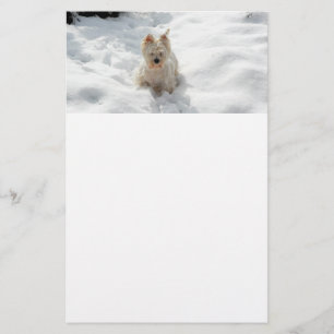 Papeterie Chien blanc Westin dans papier à lettres neige