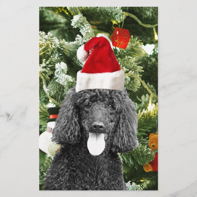 Papeterie Chien de caniche sapin de Noël Snowman Red Santa C (Devant)