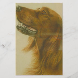 Papeterie Chien irlandais de poseur rouge