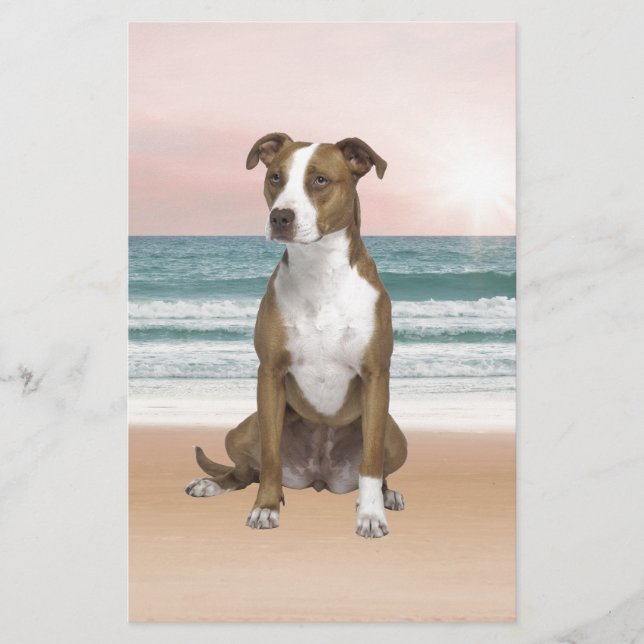 Papeterie Chien Pitbull mignon assis sur la plage avec couch (Devant)