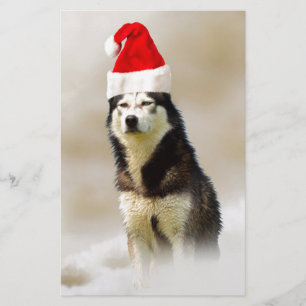 Papeterie Chien sibérien Husky avec chapeau de Santa Hat en 
