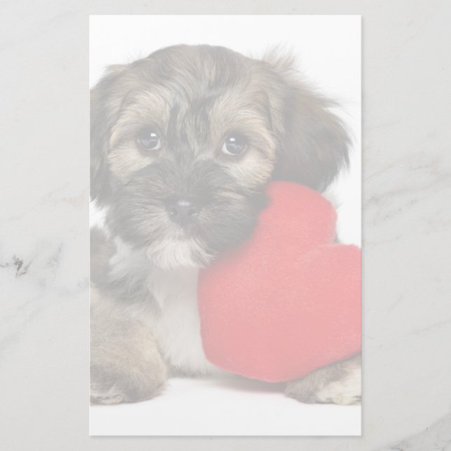Papeterie Chiot de Valentine Havanese d'amant (Devant)
