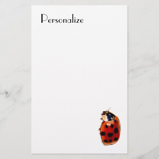 Papeterie Coccinelle repérée chic avec le nom (Devant)