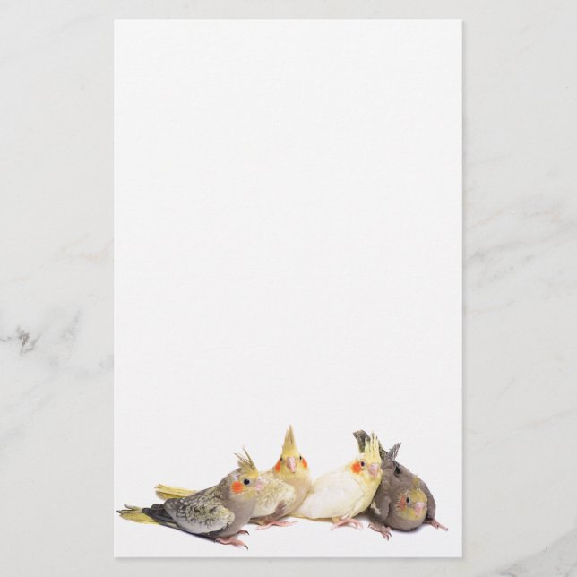Papeterie Cockatiels (Devant)