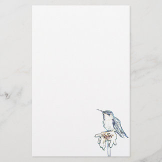 Papeterie Colibri bleu sur Shasta Daisy