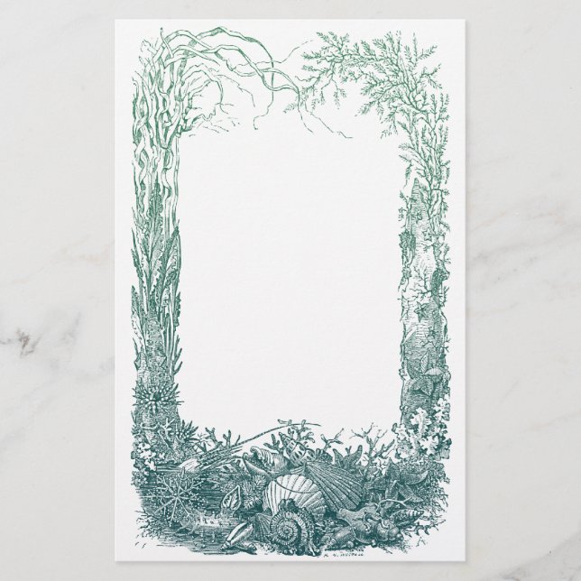Papeterie Conception de frontière de plantes et de coquilles (Devant)