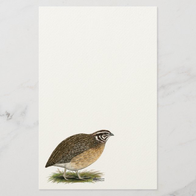 Papeterie Coturnix Pharaoh (Devant)
