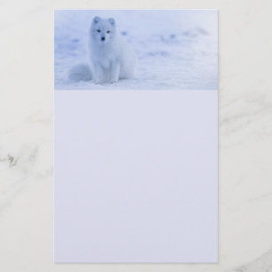 Papeterie Cute Arctic Fox sur Snowy Winter Arrière - plan