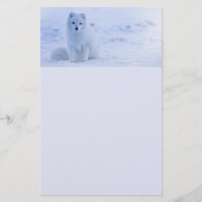 Papeterie Cute Arctic Fox sur Snowy Winter Arrière - plan (Devant)