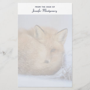 Papeterie Cute Little Fox Curling Up Winter Photo
