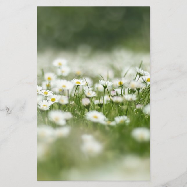 Papeterie Daisy Meadow (Devant)