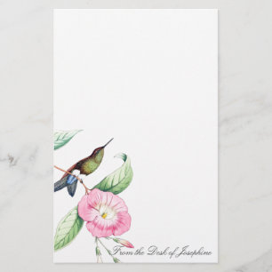 Papeterie d'animaux de faune d'oiseaux de colibri