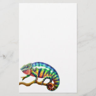 Papeterie de caméléon de panthère